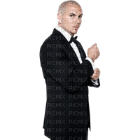 Kaz_Creations Man Homme Pitbull Singer Music - kostenlos png