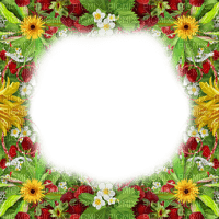 Frame.Strawberries.Red.Green - By KittyKatLuv65 - фрее пнг