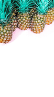 pineapple Bb2 - png gratuito