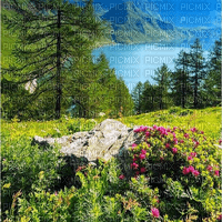 Rena Landschaft Hintergrund See Berge - gratis png