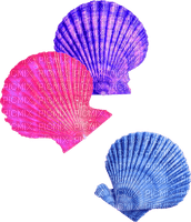 Seashells.Blue.Pink.Purple - PNG gratuit