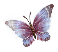 All  my butterflys - zdarma png