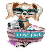 dog wearing glasses bp - PNG gratuit