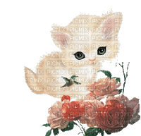 MMarcia gif gato cat  chat  flores fleur - Бесплатный анимированный гифка