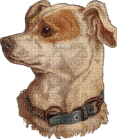 Vintage Hund - kostenlos png