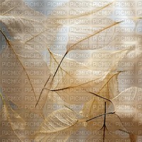 Gold Background Leaf - darmowe png