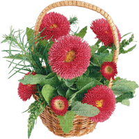 cvijeće - PNG gratuit