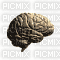 cerveau - Besplatni animirani GIF