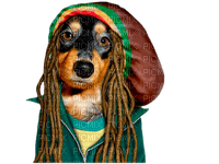 dog dress up bp - PNG gratuit