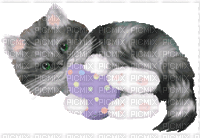 Cat Playing - Bezmaksas animēts GIF