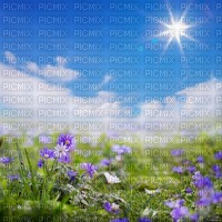 summer background nataliplus - 無料png