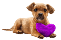 valentine dog  by nataliplus - gratis png