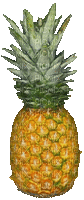 Rotating Food Spinning Pineapple Fruit - Nemokamas animacinis gif