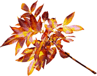 Kaz_Creations Deco  Colours  Leaves Leafs - 免费PNG