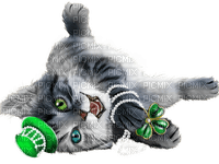 st. Patrick cat by nataliplus - gratis png