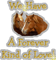 We have a forever kind of love - GIF animado gratis