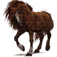 Horse - фрее пнг