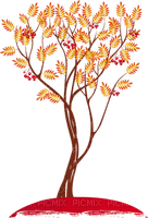 autumn tree - png gratuito