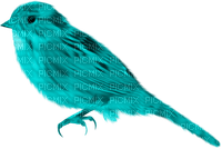 Kaz_Creations Bird-Colours - nemokama png