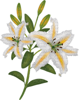 lilies by nataliplus - gratis png