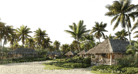 house,home,trees, Town - gratis png