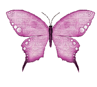 PINK BUTTERFLY GIF papillon pink - Безплатен анимиран GIF