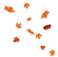 Leaves.Orange - безплатен png