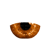Half Eyes, Orange, Gif, Animation - JitterBugGirl
