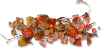 fall autumn leaf leaves feuille - безплатен png