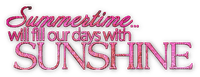 soave text summer summertime sunshine pink - Free PNG