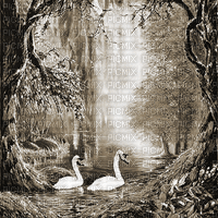 kikkapink autumn background swan lake - Bezmaksas animēts GIF
