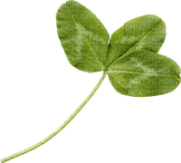 Nature Clover three green leaves - zdarma png