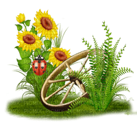 sunflowers wheel grass tournesol - Free PNG