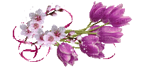 Spring Flowers - Безплатен анимиран GIF