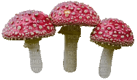 yet another mushroom - Ilmainen animoitu GIF