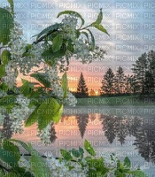 Background Landscape - nemokama png
