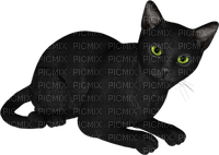 fekete cica - PNG gratuit