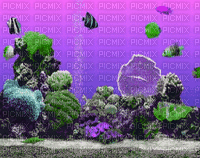 aquarium - Zdarma animovaný GIF