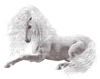 Kaz_Creations Animals Horses Horse - png ฟรี