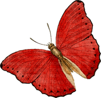 All  my butterflys - 免费PNG