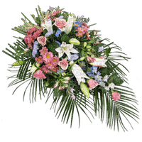 Kaz_Creations Deco Flowers Flower Spray Colours - PNG gratuit
