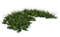 grass - фрее пнг
