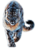 Rena Leopard Raukatze - PNG gratuit
