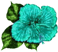 Animated.Flower.Green.Teal - By KittyKatLuv65 - Gratis geanimeerde GIF