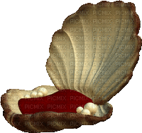 shellfish deco - GIF animate gratis