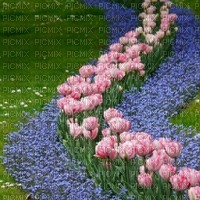 BG-pink-tulips - бесплатно png