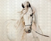 Pferd cheval horse - PNG gratuit