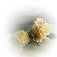 yellow roses jaune - PNG gratuit
