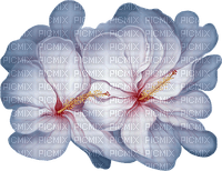 Blumen - PNG gratuit