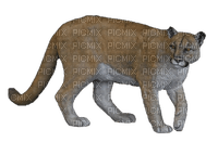 Puma - nemokama png